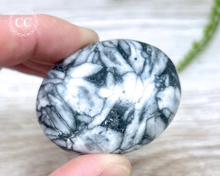 Pinolith Palm Stone #2