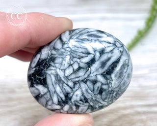 Pinolith Palm Stone #2