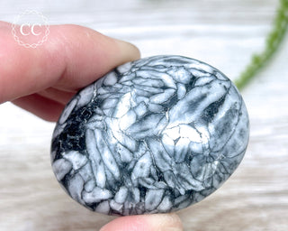 Pinolith Palm Stone #2