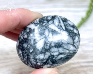 Pinolith Palm Stone #3
