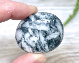Pinolith Palm Stone #4