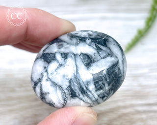 Pinolith Palm Stone #4