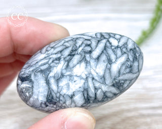 Pinolith Palm Stone #1