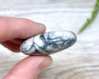 Pinolith Palm Stone #4