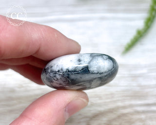 Pinolith Palm Stone #4