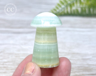 Pistachio Calcite Mushroom #1