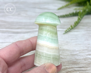 Pistachio Calcite Mushroom #2