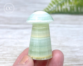 Pistachio Calcite Mushroom #1
