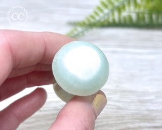 Pistachio Calcite Mushroom #1