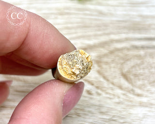 Plesiosaur Tooth #1