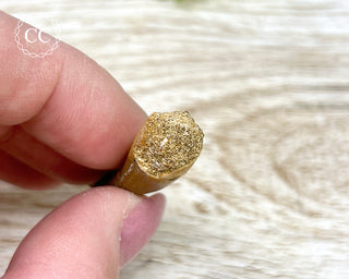 Plesiosaur Tooth #3