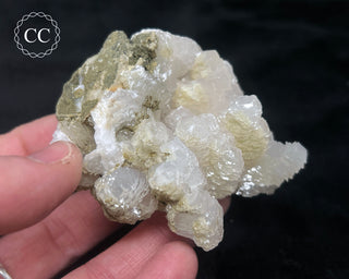 Poker Chip Mangano Calcite - Bulgaria #7