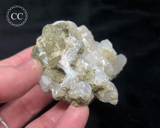 Poker Chip Mangano Calcite - Bulgaria #7