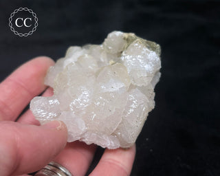 Poker Chip Mangano Calcite - Bulgaria #7