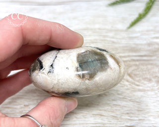 Polarity Moonstone Chunky Palm Stone #2