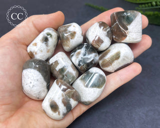 Polarity Moonstone Tumbled Crystals in hand