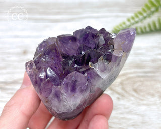 Polished Amethyst Cluster #2