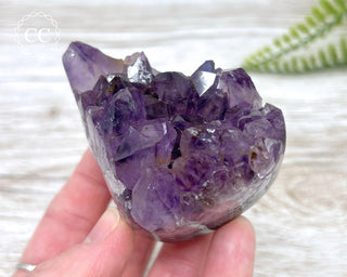 Polished Amethyst Cluster #2