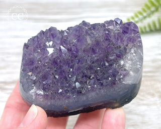 Polished Amethyst Cluster #1