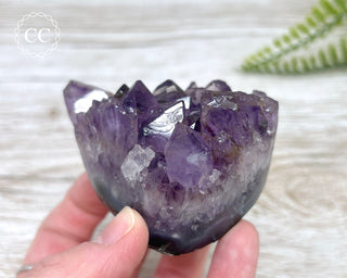 Polished Amethyst Cluster #2