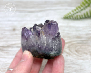 Polished Amethyst Cluster #2