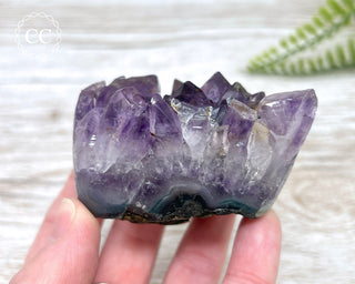 Polished Amethyst Cluster #2