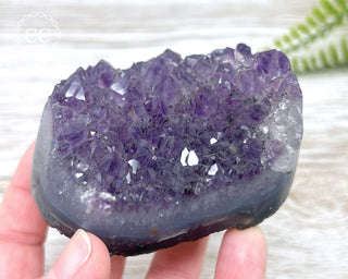 Polished Amethyst Cluster #1