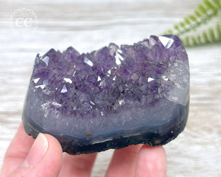 Polished Amethyst Cluster #1