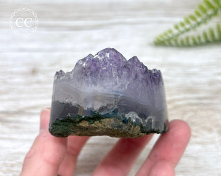 Polished Amethyst Cluster #1