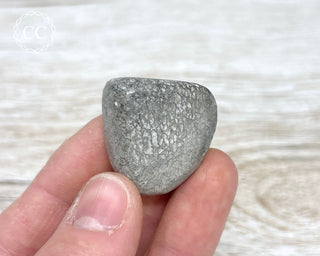 Polished Dinosaur Bone Pebble #2