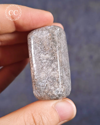 Polished Dinosaur Bone Pebble #2