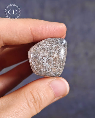 Polished Dinosaur Bone Pebble #2