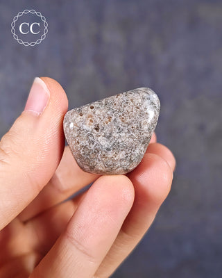 Polished Dinosaur Bone Pebble #2