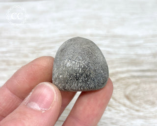 Polished Dinosaur Bone Pebble #2