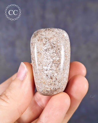 Polished Dinosaur Bone Pebble #3