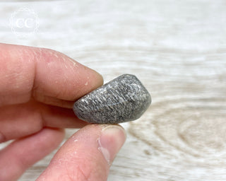 Polished Dinosaur Bone Pebble #2