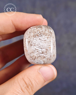 Polished Dinosaur Bone Pebble #3