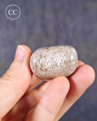Polished Dinosaur Bone Pebble #3
