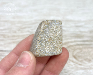 Polished Dinosaur Bone Pebble #3