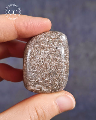 Polished Dinosaur Bone Pebble #1