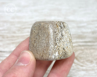 Polished Dinosaur Bone Pebble #4