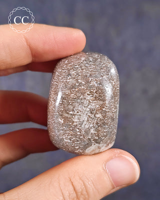 Polished Dinosaur Bone Pebble #1