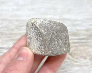 Polished Dinosaur Bone Pebble #5