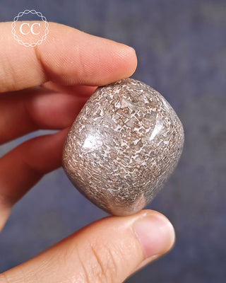 Polished Dinosaur Bone Pebble #1