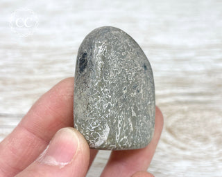 Polished Dinosaur Bone Pebble #6