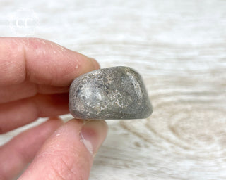 Polished Dinosaur Bone Pebble #6