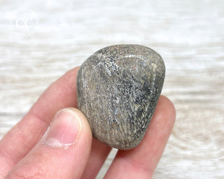 Polished Dinosaur Bone Pebble #8