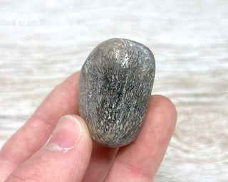 Polished Dinosaur Bone Pebble #8