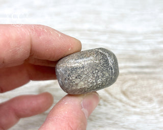 Polished Dinosaur Bone Pebble #8