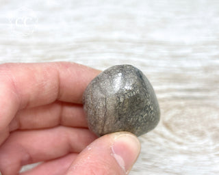 Polished Dinosaur Bone Pebble #8